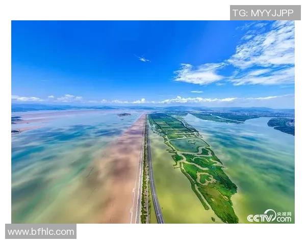 自贡观察带您领略全球风采与未来发展趋势的精彩瞬间